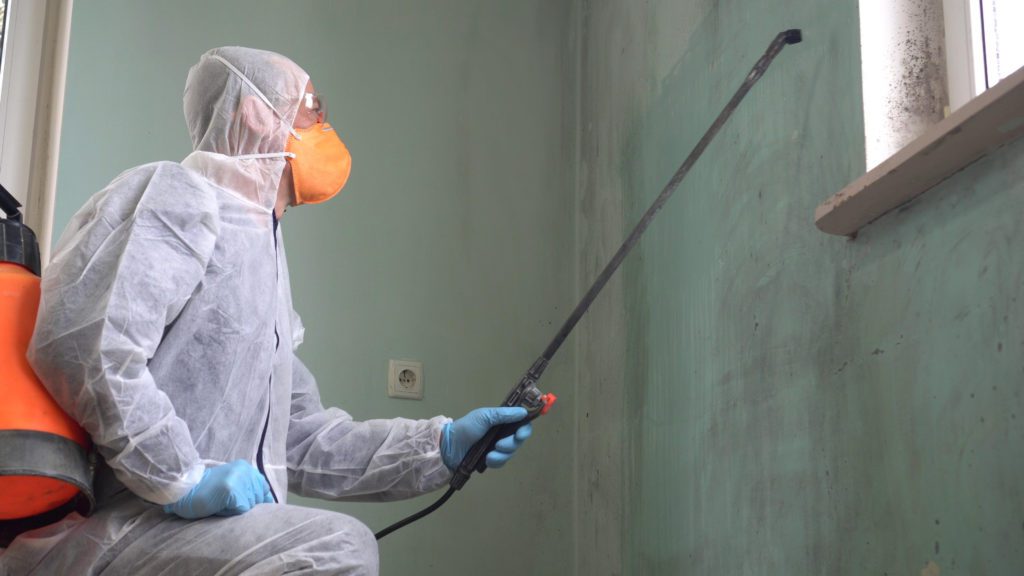 property restoration